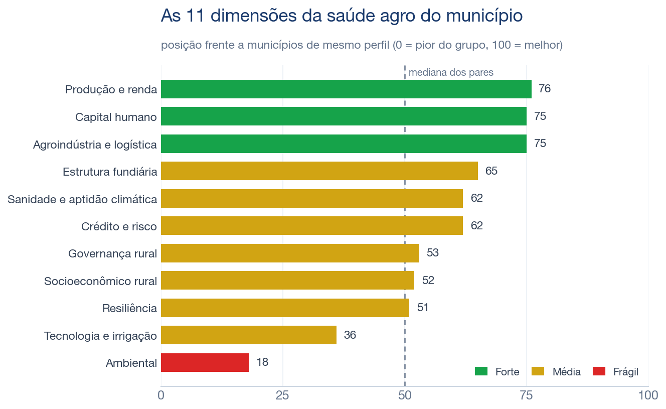 As 11 dimensões da saúde agro do município